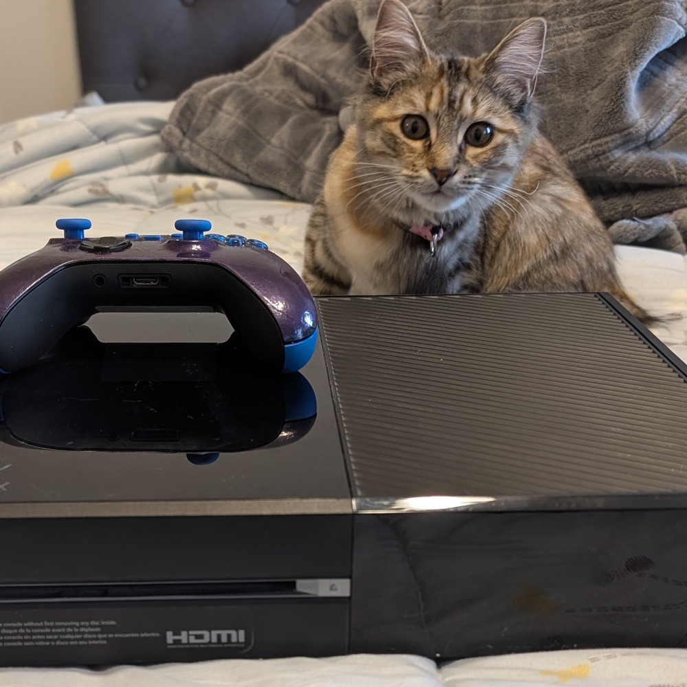 Xbox